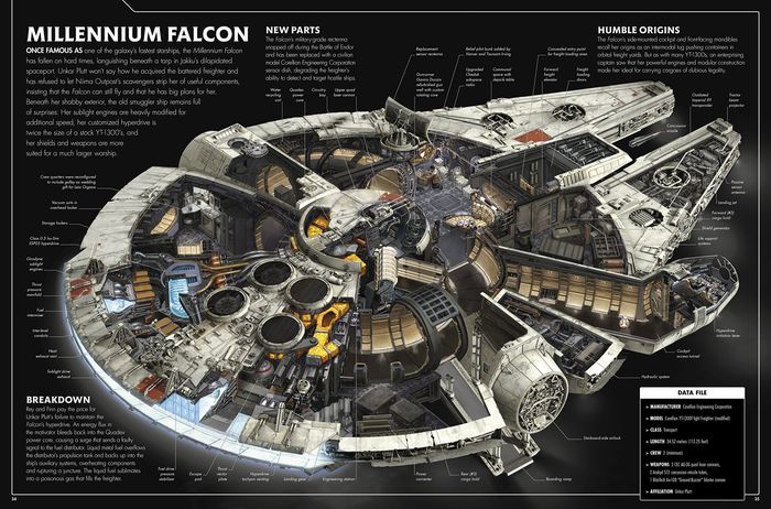 Falcon